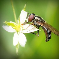 /album/residencia/photolia-a02-jpg/