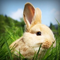 /album/residencia/photolia-a03-jpg/