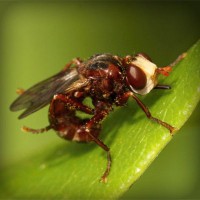 /album/residencia/photolia-a06-jpg/